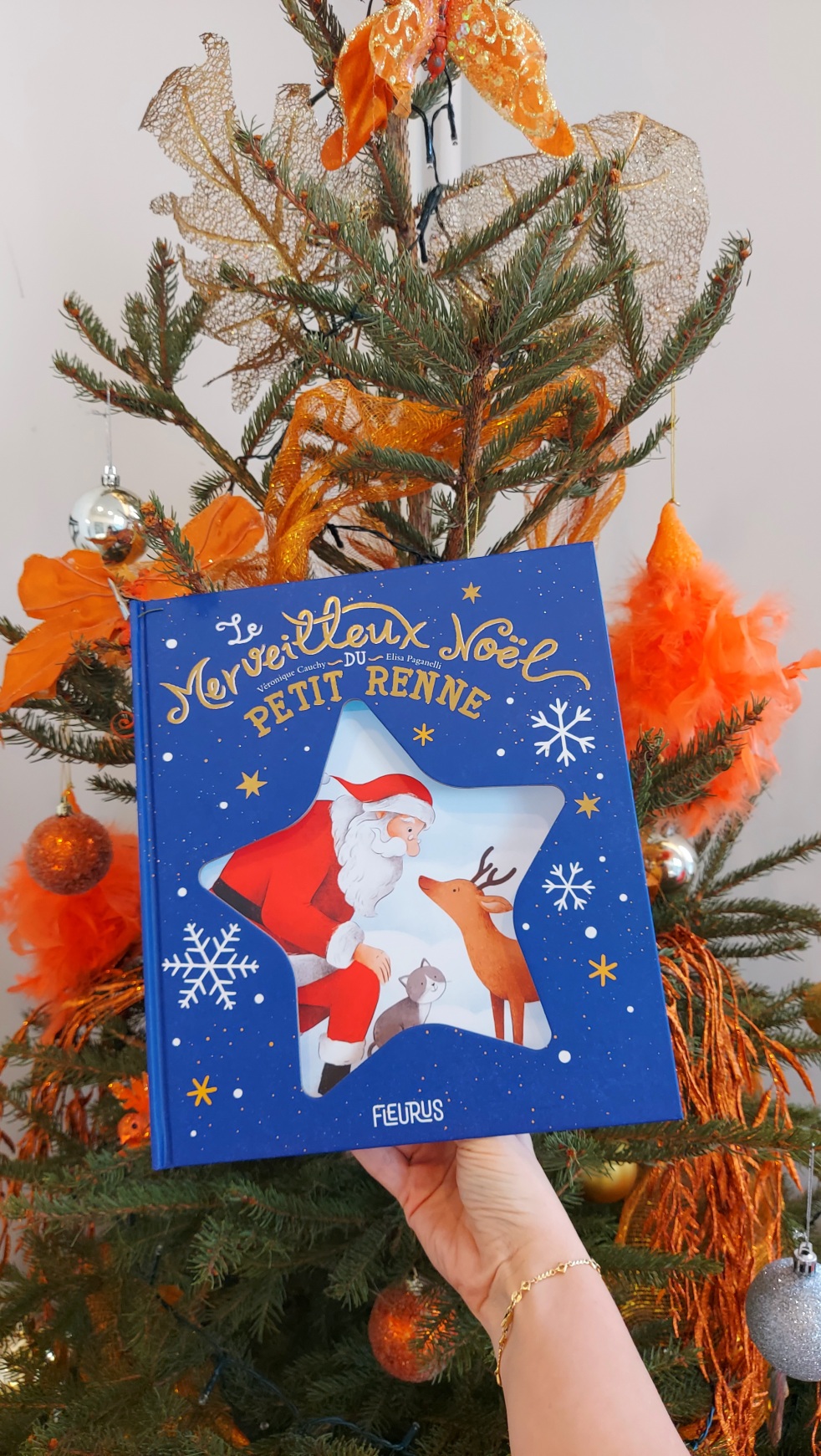 « Le Merveilleux Noël du petit renne » de Véronique Cauchy illustré par Elisa Paganelli